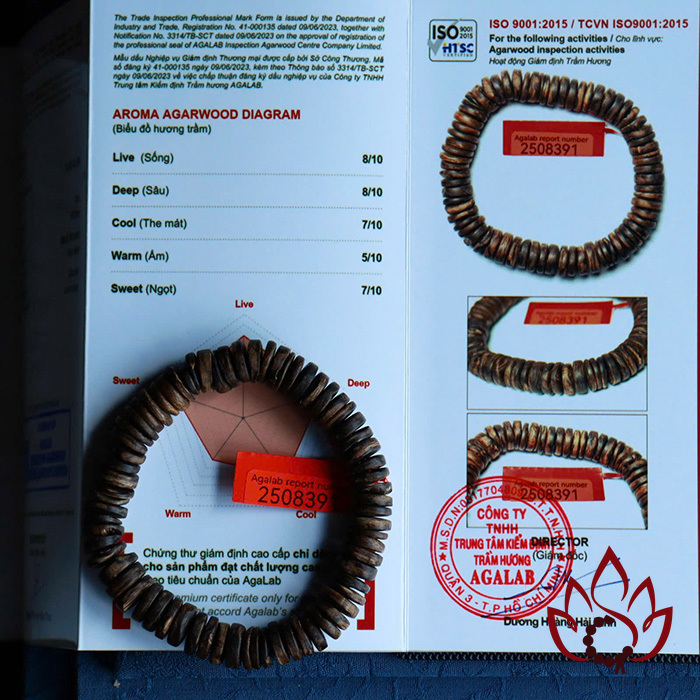 Vòng Trầm Hương Hạt Dẹp | 11 Ly | Trầm Bì Rễ Cận Chìm